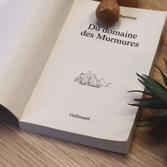 Tampon Étagère livres chat