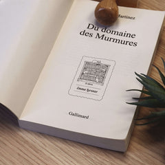 Tampon Ex-libris chats de bibliothèque